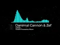 Danimal Cannon Zef Legacy Parallel Processing Album