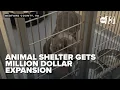 Virginia animal shelter opens 1 million expansion with 40 new dog kennels