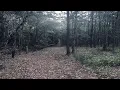 suffering, with lyrics (Amélie Farren)
