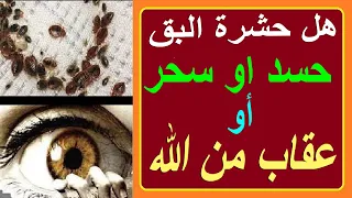 حشرة البق هل البق عقاب من الله وكيف نتأكد من ذالك 