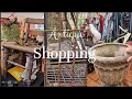 Antique shopping at Renningers Flea Market in Mt Dora FL rescuing Lily the pigeon