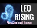 LEO IN DEPTH - PLUS SUN RULING PLANET IN ALL HOUSES