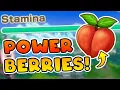 Download Lagu How to find 10 Power Berries in STORY OF SEASONS: Grand Bazaar