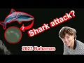 Shark Attack in the Bahamas Cameron Robbins Louisiana Teen Jumps Overboard on Dare