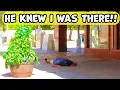 Download Lagu Bushman Prank: He did a Backflip then dropped!!