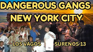 Dangerous NYC Gangs You ve Never Heard Of Inside New York s Secret Underworld