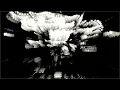 Invisible Days - February Fourteenth (Lilys cover)