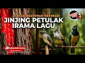 Download Lagu 🔴 Live Masteran Irama Lagu Tembakan Jinjing Petulak Materi Cucak Cungkok \u0026 Cucak Jenggot Gacor Greja