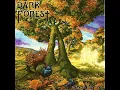 Dark Forest - Where The Arrows Fall