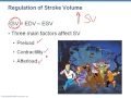 Chapter 18 - Cardiac Output