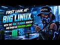 First Look at Big Linux