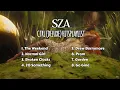 Download Lagu SZA - Ctrl (Deluxe) Hits Playlist MP3