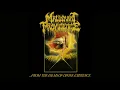 Lagu MALIGNANT PROVIDENCE - ...From The Palms Of Divine Existence (Full EP 2025)