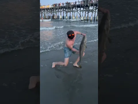 Snook fish catch on Coco Beach