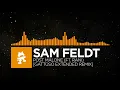 Sam Feldt - Post Malone ft RANI GATTUSO Extended Remix