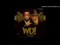 Destiny Boy OLAMIDE – WO!! (Cover)
