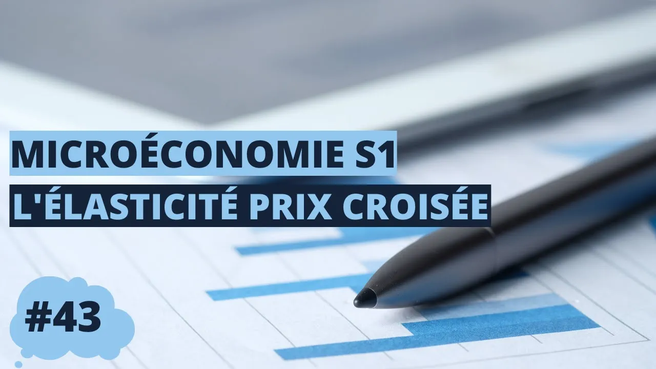 L’élasticité prix croisée - microéconomie S1