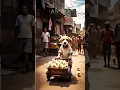 Download Lagu Poor dog was made fun of by his friends because he didn't have a jeep