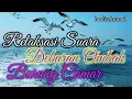 Download Lagu Relaksasi Suara Deburan ombak dan Burung Camar 1 Jam Nonstop.#relaxation #penenanghati