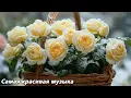 Download Lagu Веселитесь🌿Сборник ЛУЧШИХ мелодий для сердца🌿Великолепная музыка, Сергей Грищук