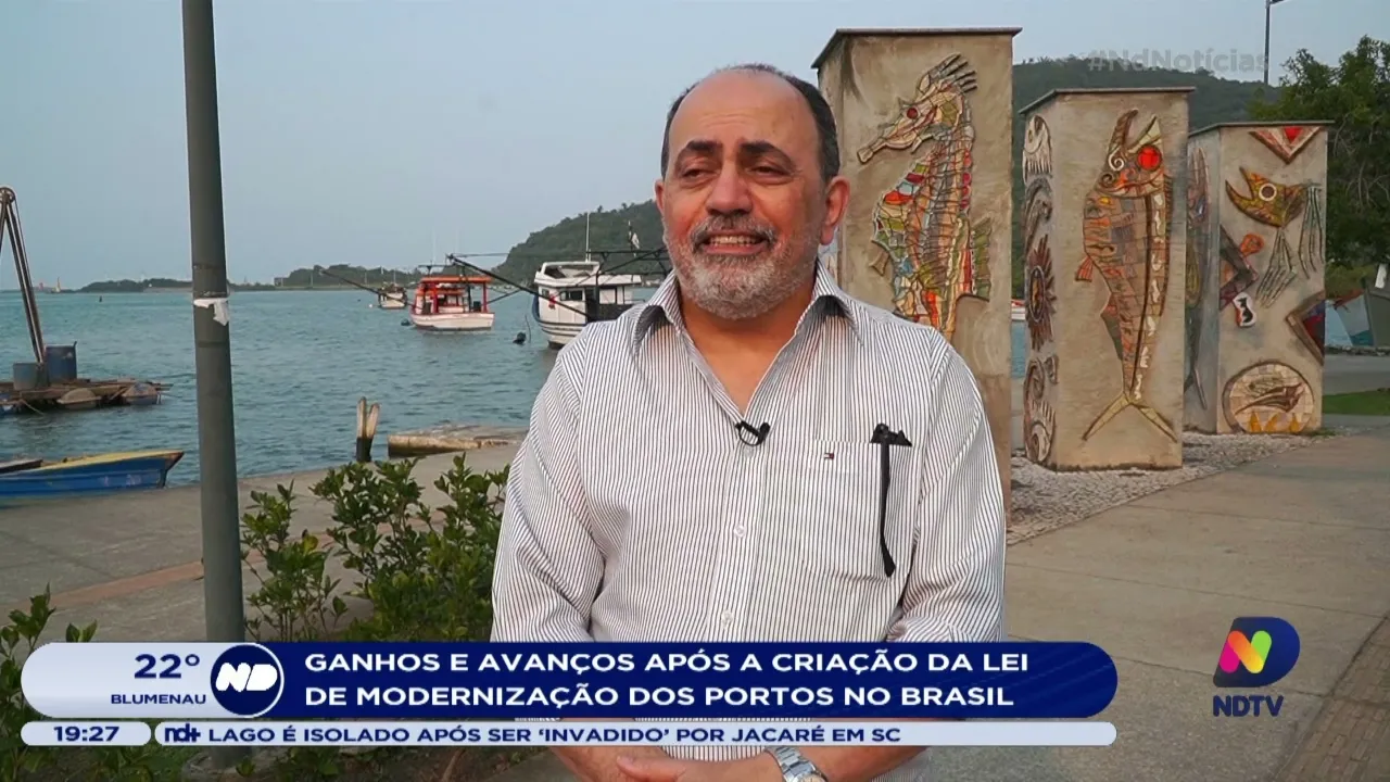 Ganhos e avanços após a criação da Lei de Modernização dos portos no Brasil