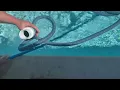 How to vacuum a pool with a Pentair pump