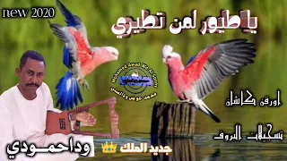 جديد وداحمودي ياطيور لمن تطيري 2020 