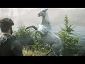 Red Dead Redemption 2 - Few Spot Appaloosa