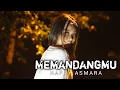 Download Lagu Memandangmu - Happy Asmara || Unofficial Music Video By CJP OFFICIAL