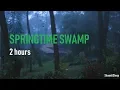 Download Lagu Night Rain In Springtime - 2 Hours of Crickets, frogs, rain, owls, chimes and Rain Sleep Sounds