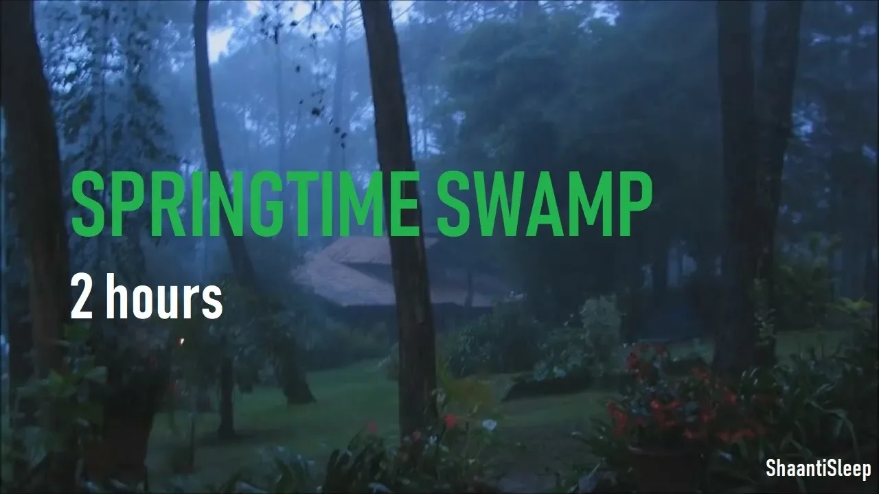 Night Rain In Springtime - 2 Hours of Crickets, frogs, rain, owls, chimes and Rain Sleep Sounds Night Rain In Springtime - 2 Hours of Crickets, frogs, rain, owls, chimes and Rain Sleep Sounds