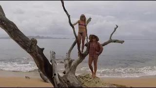 E27: Polar Bears, Pina Coladas, and Paradise Island