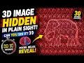 Can You See The Hidden 3D Image
