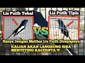 Download Lagu PERBEDAAN LIS PUTIH PADA SAYAP SEEKOR KACER !!! MEMUDAHKAN MENENTUKAN ARAH SETINGAN KACER