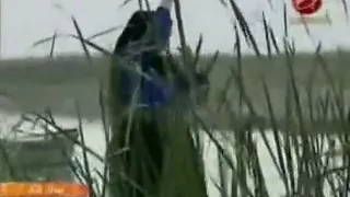 سعدون جابر موال 