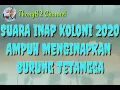 Download Lagu SUARA INAP KOLONI 2020 AMPUH MENGINAPKAN BURUNG TETANGGA