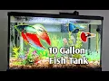 10 gallon topfin fish tank setup Guppy Aquarium for beginners