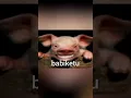 Download Lagu ametiketu ✨ #ngakak #kocak #lucu #ametiketu #shortlucu #memelucuindonesia #babiketu #tiktokviral