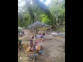Lagu LANG BUANA ECO PARK,ULU CHEKA, JERANTUT. TEMPAT MANDI,BERKELAH\u0026PERCUTIAN KELUARGA MENARIK DI PAHANG.