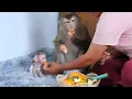 Download Lagu Cute Baby Luka With Mommy Luna Eating Orange Fruits