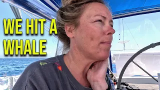A Sailor’s Nightmare: We Hit a Whale – Episode 176
