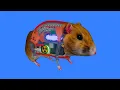 Download Lagu How a Hamster works