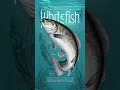 Steelhead Trout vs Whitefish 10 Surprising Differences You Need to Know