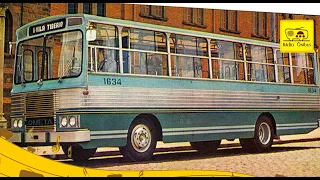 A HISTÓRIA DA CIFERAL. Parte 1