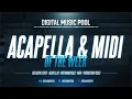 Loud Luxury Ft. KIDDO - These Nights (Acapella & MIDI)