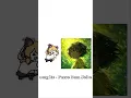 Download Lagu Omg its - Passo Bem Solto | Slowed