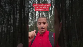 الذي جعل لكم من الشجر الاخضر نارا فاذا انتم منه توقدون دندنها
