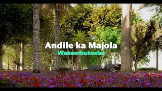 andile kamajola wabambukusho official lyric video 
