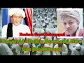 Download Lagu Banasyid - Dzikir Penenang Jiwa - Gus Fuad Plered      Berkah Guru Sekumpul