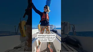 We are back on the water! 🤩⛵️🇮🇹#liveaboard #sailing #boating #freedom #adventure